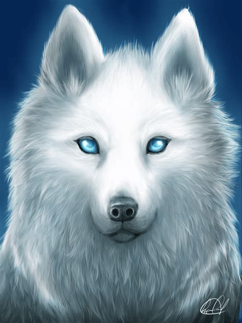 White Wolf with Blue Eyes Wallpapers - 4k, HD White Wolf with Blue Eyes Backgrounds on WallpaperBat