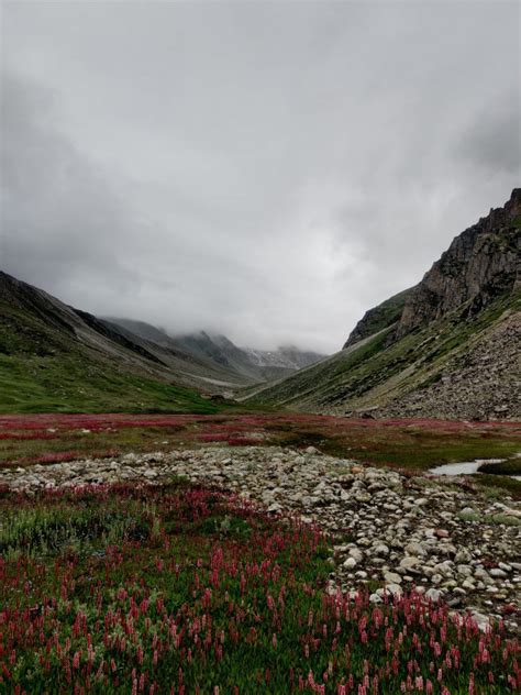 Kyarkoti Trek | Harsil Valley - Experience The Himalayas