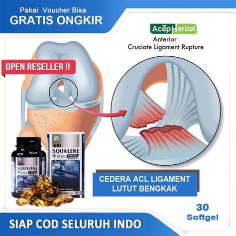 Jual Obat Cedera ACL, Ligamen Robek, Cidera Lutut, Nyeri Otot Kaku ...