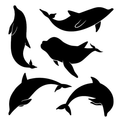 Dolphin Silhouette