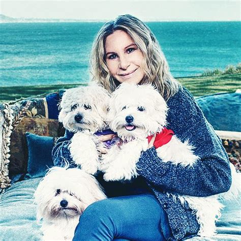 Of Course Barbra Streisand Cloned Her Dog