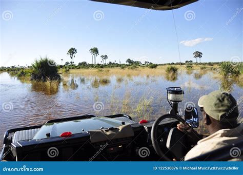 The Biggest Floods Since 46 Years Has Hit The Okavango Delta In The Kalahari Desert Royalty-Free ...