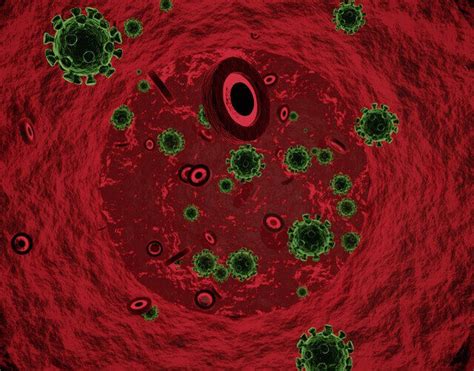 Blood Clots In COVID 19 Patients: 6 Possible Causes » 2024