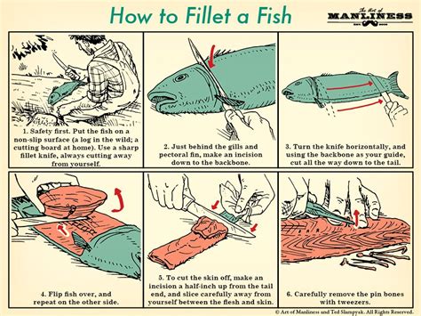 How to Fillet a Fish | TFE Times