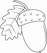 Acorn Printable Template Templates Fall Crafts Applique Sheet Shape  sketch template