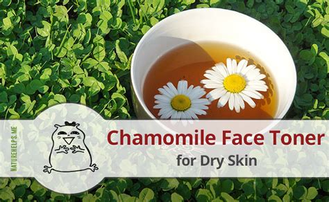 DIY Chamomile Face Toner for Dry Skin