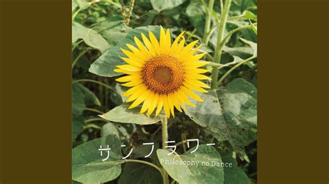 Sunflower - YouTube Music