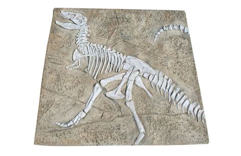 Dinosaur Fossil Dig - Large