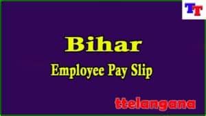 Bihar Employee Pay Slip 2024 Download Employee Salary Slip