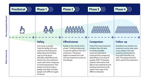 Navigating The Phases Of Clinical Trials - Victorian Cancer Trials Link