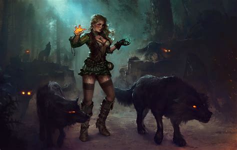 Female beast master digital wallpaper, fantasy art, magic, wolf HD wallpaper | Wallpaper Flare