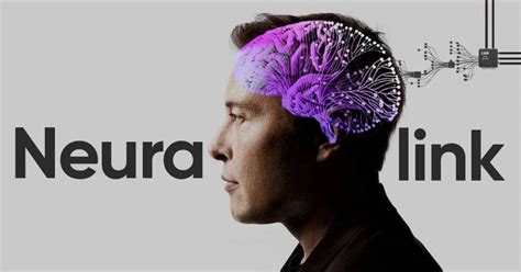 The United States Stops Neuralink And Elon Musk: Prohibits Implementing Chips In Human Brains ...