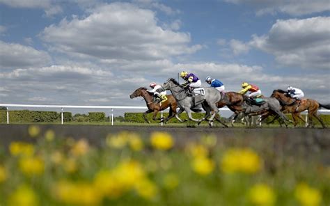 Marlborough racing tips and best bets for Thursday, September 3