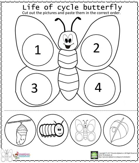 Life Of Cycle Butterfly Worksheet | Butterfly life cycle preschool ...