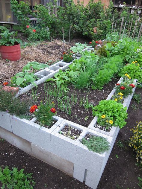 The Half-Acre Homestead | Cinder block garden, Garden design, Garden beds