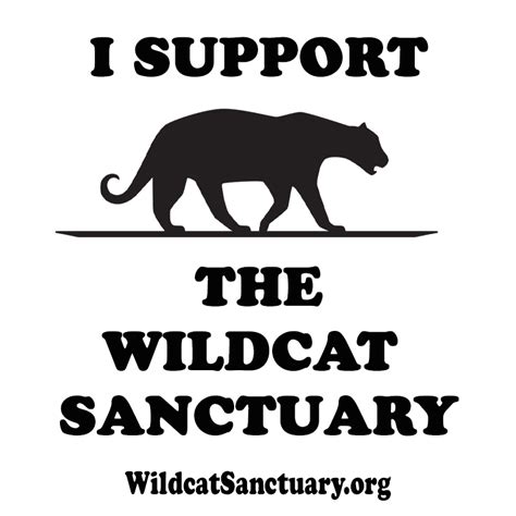 Wildcat Sanctuary | GiveMN