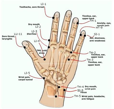 Ease Carpal Tunnel Pain In 10 Minutes or Less With These 4 Points ...