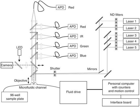 A single-molecule method for the quantitation of microRNA gene ...