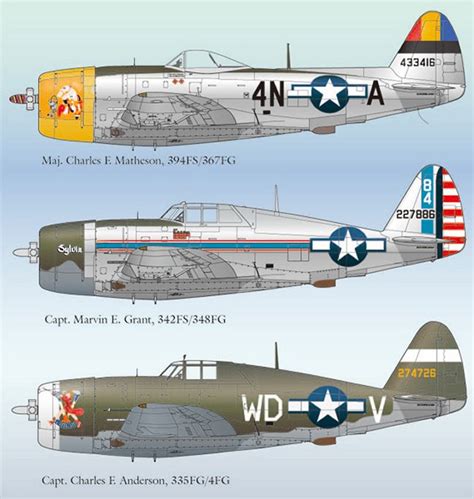 Lifelike Decals 1/48 Republic P-47D Thunderbolt Part 8 decal sheet by ...