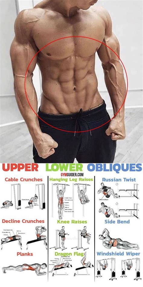 Upper Lower Obliques | Entrenamiento de abdominales, Entrenamiento de ...