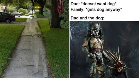 15 'Predator' Memes Celebrating That Prequel Trailer | Know Your Meme