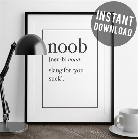 NOOB Definition Funny Art Print funny print art art print