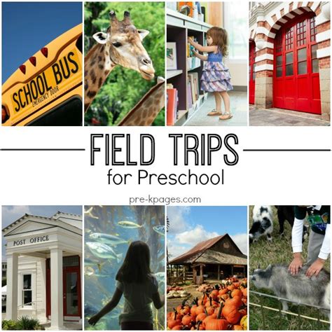 Field Trip Ideas for Preschool and Kindergarten