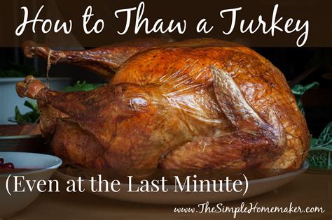 Thaw Ground Turkey Fast: Quick and Safe Defrosting Methods for Frozen Meat – THEKITCHENTODAY