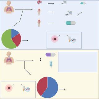 Mechanisms of acquired resistance to crizotinib and 2 nd generation ALK ...