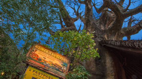 Kilimanjaro Safaris | Animal Kingdom Attractions | Walt Disney World Resort