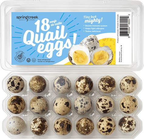 Quail Eggs | Spring Creek Quail Eggs