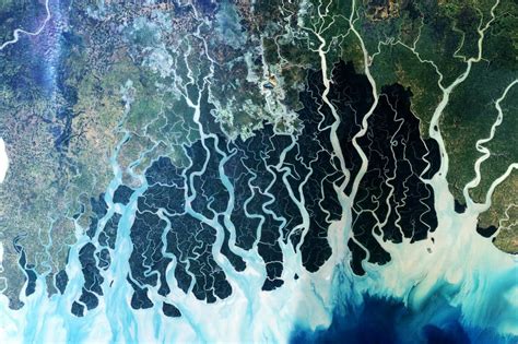 Ganges River delta Earth And Space, Rio Ganges, Deep Ecology, News Logo ...