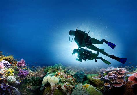 Scuba Diving - South Pacific, Costa Rica.