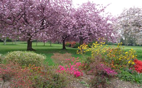 Lewisham Park, Lewisham | GoParksLondon