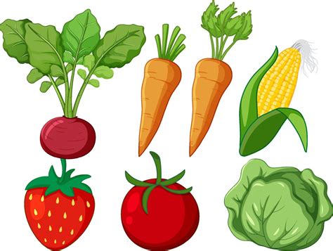 conjunto de dibujos animados de diferentes verduras 7109445 Vector en Vecteezy