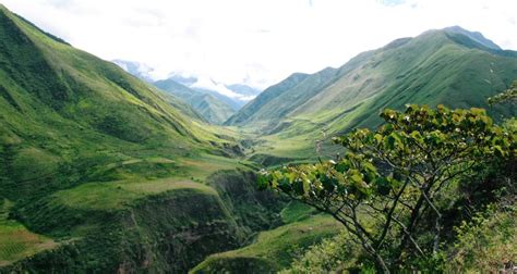 Historic Rights of Nature Victory in Ecuador - CELDF