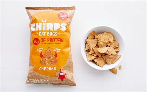 Cheddar Tortilla-Style Cricket Chips | 5 oz | Chirps Chips | Good Eggs