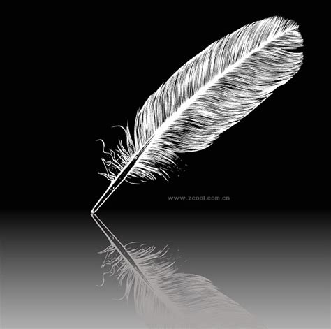 Black And White Feather Drawing at PaintingValley.com | Explore collection of Black And White ...