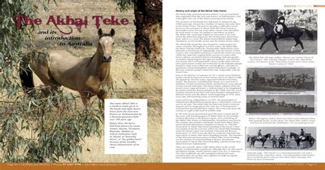 (PDF) History and origin of the Akhal-Teke Horse The Akhal Teke · PDF ...