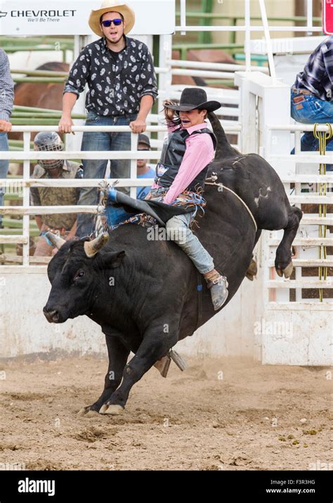 Rodeo cowboy riding a bucking bull, bull riding competition, Chaffee ...