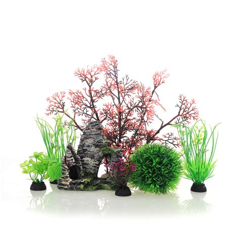 Colorful Freshwater Aquarium Plants