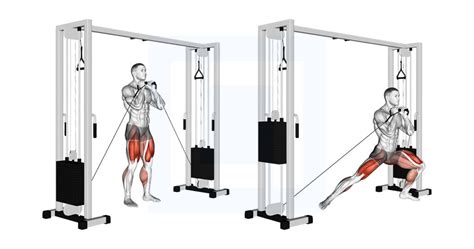 Cable Lateral Lunge - Guide, Benefits, and Form