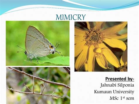 Mimicry (Evolutionary Biology)