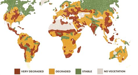 Our soil is dying: UN warns against plummeting quality of agricultural land. - Reporters Online