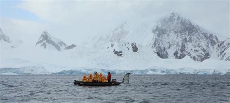 Whale Watching of Humpback Whales in Antarctica Editorial Stock Photo ...