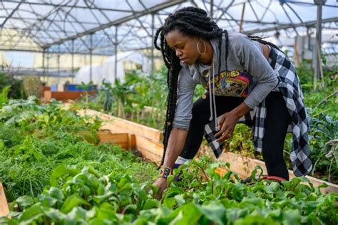 Women Who Farm Africa – Keep Calm African women will feed the world