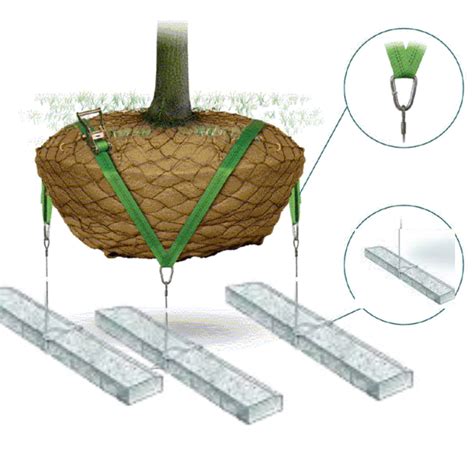 DEADMAN ROOTBALL ANCHOR SYSTEM - Landscape Depot