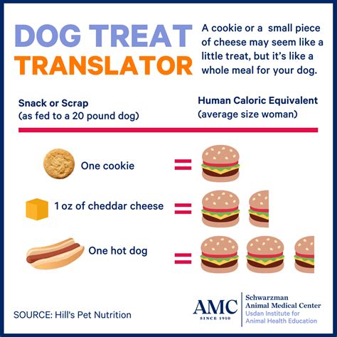 Obesity in Dogs - The Animal Medical Center obesity-in-dogs