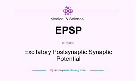 EPSP - Excitatory Postsynaptic Synaptic Potential in Medical & Science ...