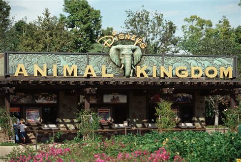 Disneys Animal Kingdom Theme Park Florida - Theme Image